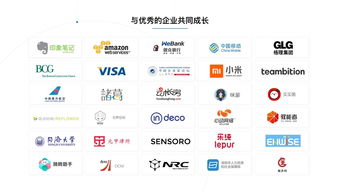 信息技術咨詢服務市場分析 看準網視角下的行業(yè)生態(tài)